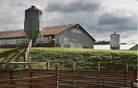 Ranches